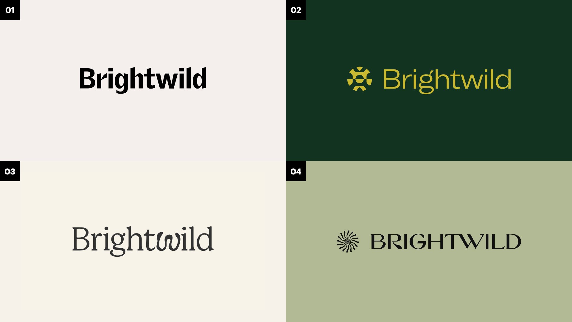 behind-the-rebrand-brightwild-four-logos