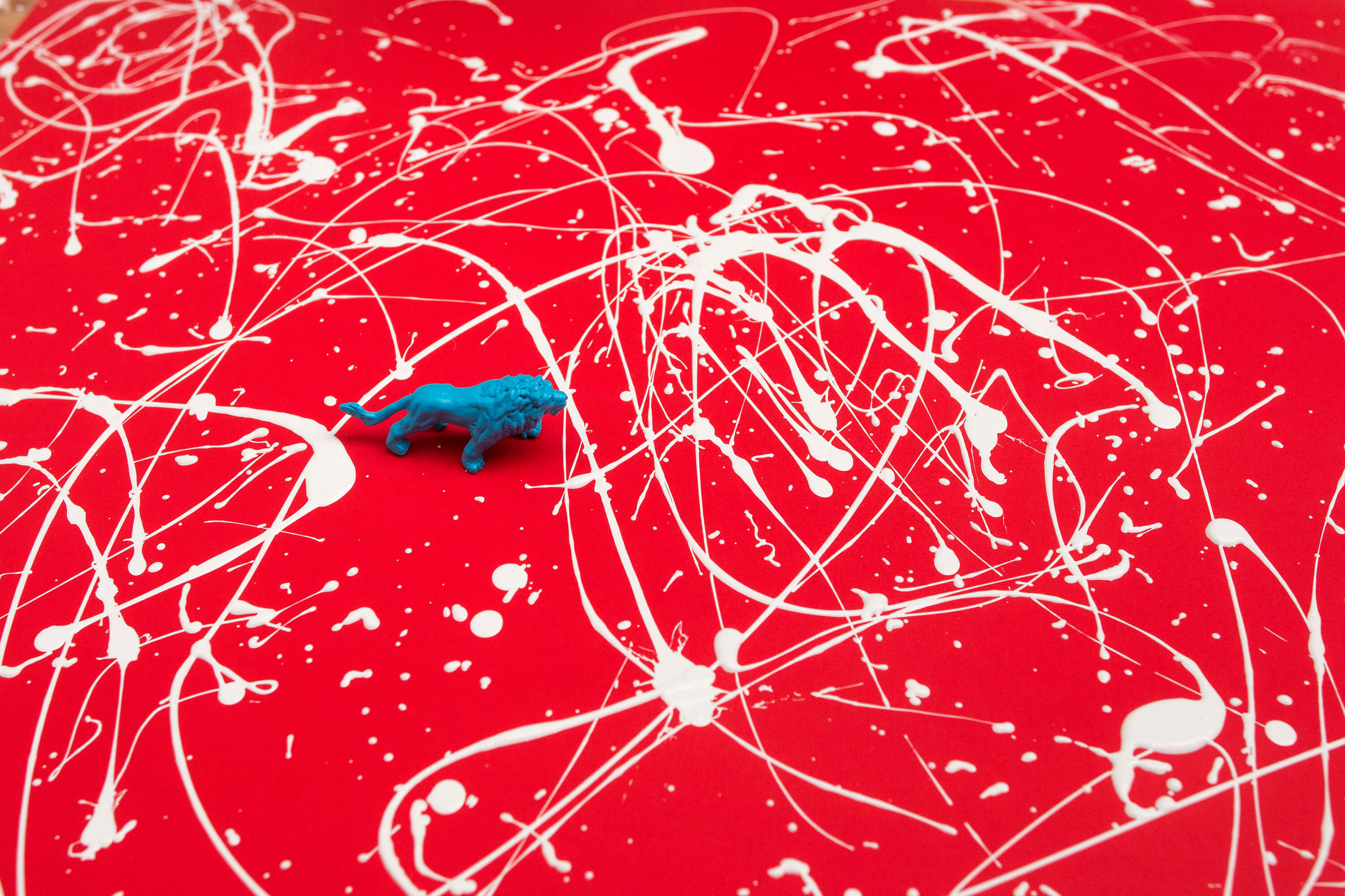 perception-gap-photo-blue-lion-on-red-table-01.jpg